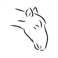 vector silhouette saiga on white background saiga animal vector