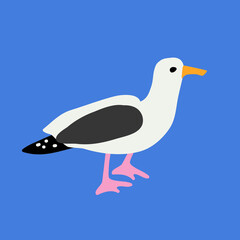 seagull on a blue background