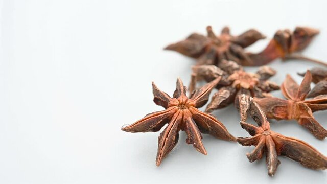 angle pan herb BaJiaoHuiXiang or Anisi Stellati Fructus or Truestar Anise