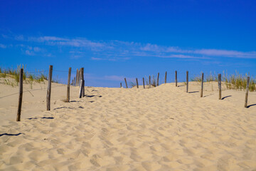 Fototapeta na wymiar Sandy nature pathway access to beach sea in summer sea atlantic coast in gironde france
