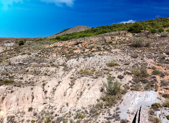 Forest of Almeria