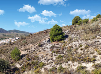 Forest of Almeria