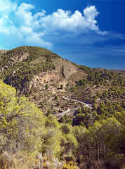 Fototapeta na wymiar Forest of Almeria
