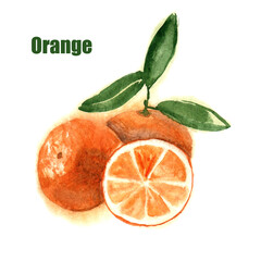 Watercolor orange on white background