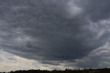 dark storm clouds over a dark strip of forest
