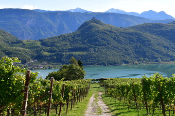Beautiful Lago di Caldaro with vineyards and mountains behind 