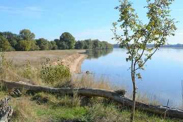 la loire sauvage 