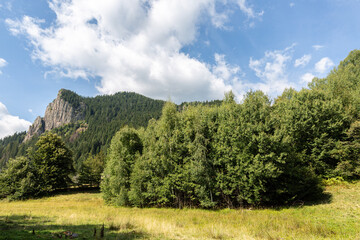 Fototapeta premium View to a hill with forest and clouds on blue sky