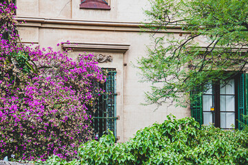 Fototapeta na wymiar Casa jardín con arboles y flores de colores ventanas 