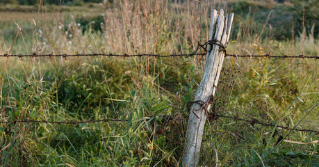 Rusty barbed wire encircling an old overgrown pasture. horizontal header banner copy space blog background pattern