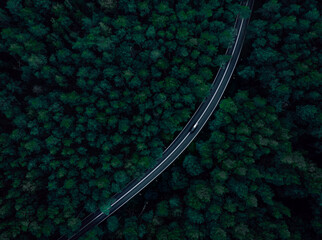 highway in forest