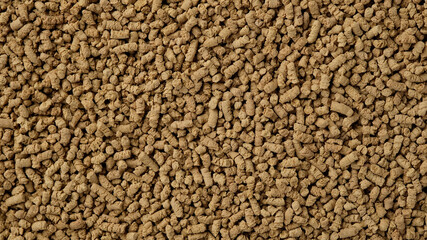 Buckwheat tea close up. Healthy drink