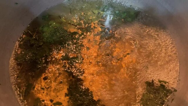 Kratom Tea - Boiling kratom leaves. Mitragyna speciosa or Kratom - Mitragyna speciosa is a tropical evergreen tree in the coffee family native to Southeast Asia.