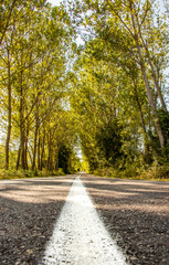 Fototapeta premium Road to Peace