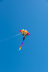 Colorful Kites flying over the sky