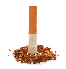 Tobacco dried cutted leaves with broken cigarette isolated on white as symbol of stop smoking