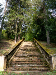 Ancient stairs on a walk through the forest