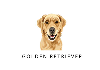 golden retriever dog POTRAIT VECTOR PREMIUM FRONT VIEW