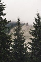Misty mountain landscape