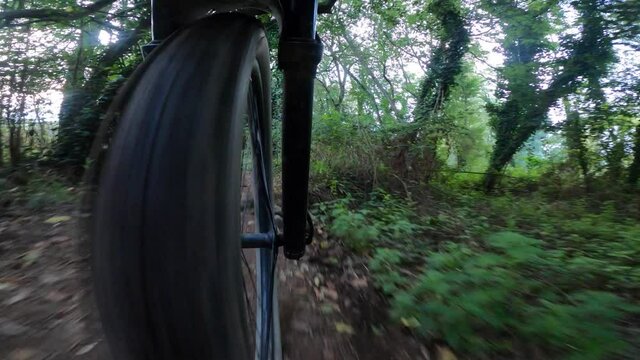 Front mountain bike wheel point of view riding a forest trail
