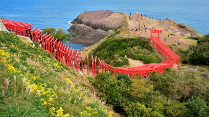 元乃隅稲成神社の赤い鳥居のトンネル　山口県長門市