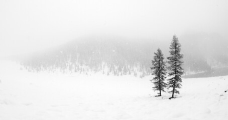 Fototapeta na wymiar Misty day on alpine lake