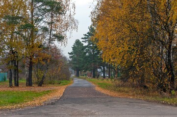 Fototapeta na wymiar Autumn road in the regional settlement