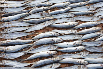 Indonesian salted fish dried on the beach. Food preservation, anchovies are fish that are preserved in dry salt and thus preserved for later eating.
