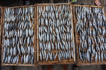 Indonesian salted fish dried on the beach. Food preservation, anchovies are fish that are preserved in dry salt and thus preserved for later eating.
