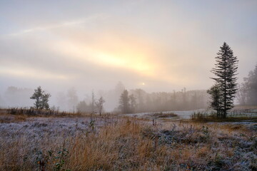 Morgenstimmung im Herbst mit Frost, Nebel und Sonnenaufgang über Moorwiese