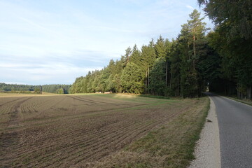 Landwirtschaft/ Feld