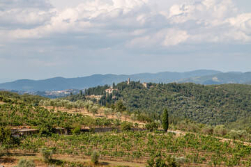 Fototapeta na wymiar Wine in Tuskany