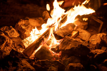 Bonfire. The fire. Flames. Burning firewood.