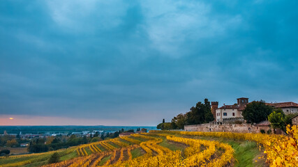 Fototapeta na wymiar Autumn sunset in the vineyards of Collio Friulano