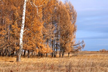 colors of late autumn