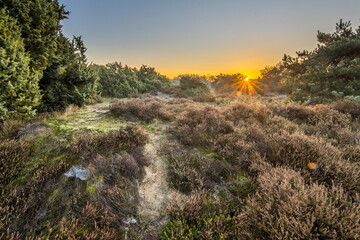 Heathland in hilly terrain on a cold morning