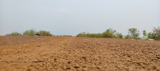 field in the morning