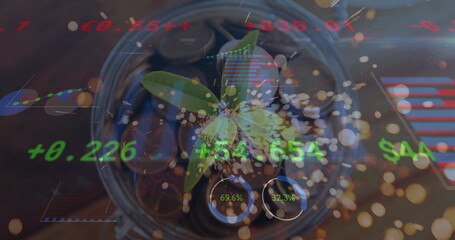 Image of financial data processing over a plant with sparkles