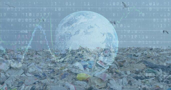 Binary coding and financial data processing over globe against landfill with birds flying in the sky - Powered by Adobe