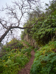 Senda colorida del Barranco de la Mina.