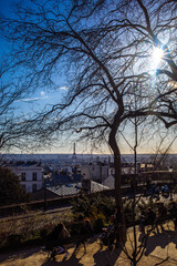Fototapeta na wymiar early spring view of Paris and Eiffel Tour through the tree branch in Montmartre 