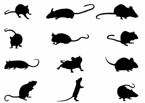 Mice Silhouettes