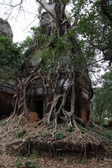 Obraz premium コーケー遺跡