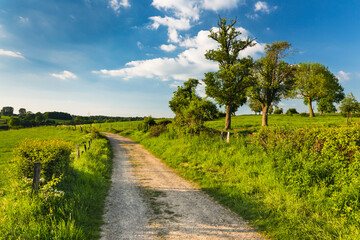 Hill Landscape Near Aachen, Germany