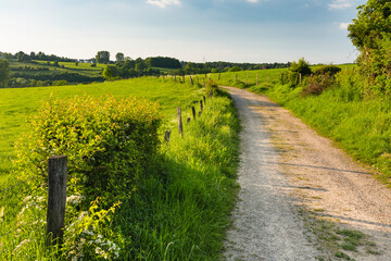Hill Landscape Near Aachen, Germany