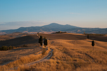 tuscany sunset of the movie the gladiator wheat field scene - obrazy, fototapety, plakaty
