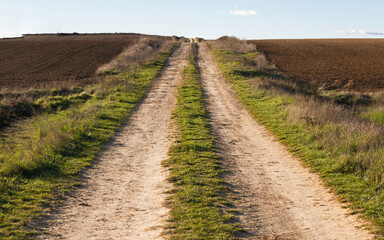 Fototapeta na wymiar Used dirt road in rolling countryside between newly plowed farmland in autumn 