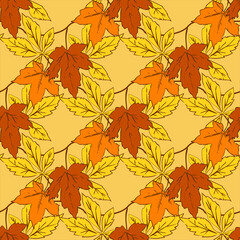 Fototapeta na wymiar Vector - autumn leaves seamless pattern.