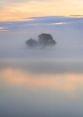 The Half - Finished Heaven