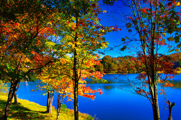 Fototapeta na wymiar Autumn leaves of Tateshina, Hemako Lake Lake